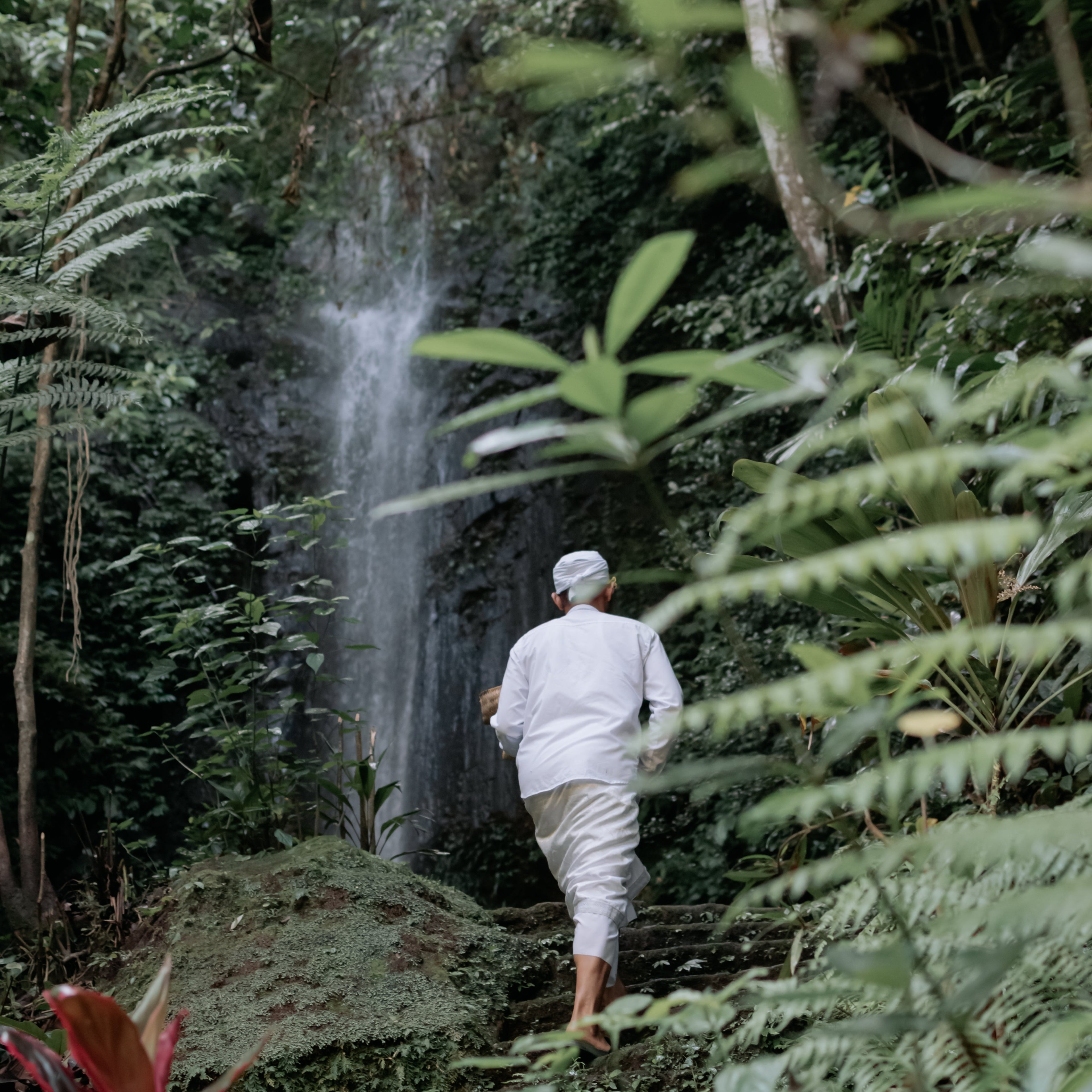 bali